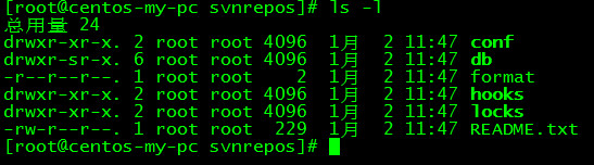 SVN安装路径
